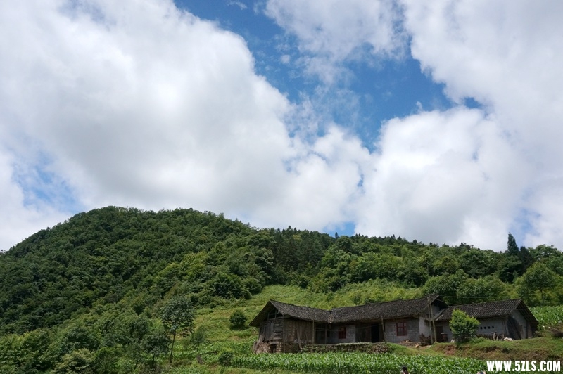 DSC06557_副本.jpg