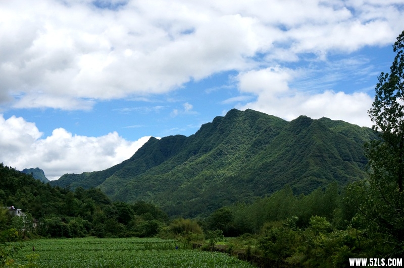 DSC06570_副本.jpg