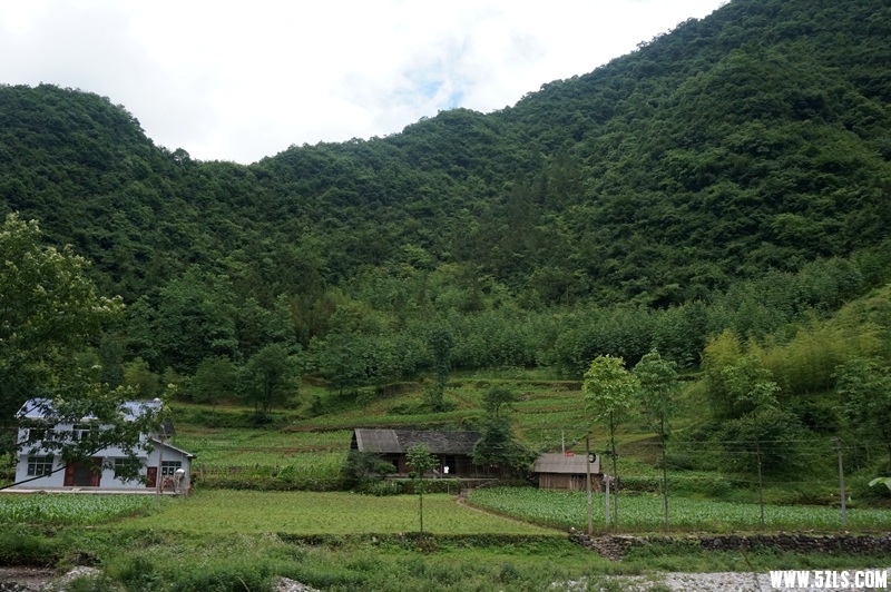 DSC06583_副本.jpg