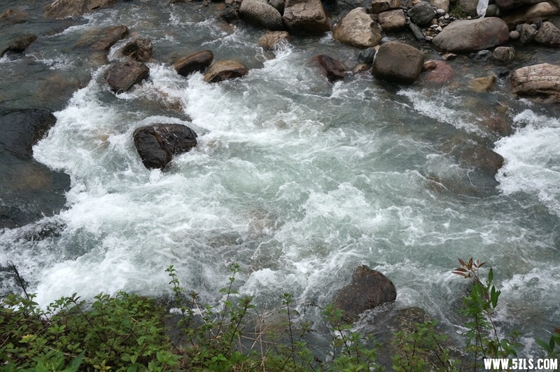 DSC06589_副本.jpg