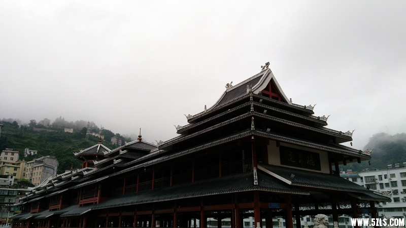 IMG_20150622_064252_副本.jpg