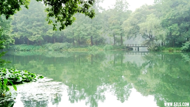 IMG_20150701_173947_副本.jpg