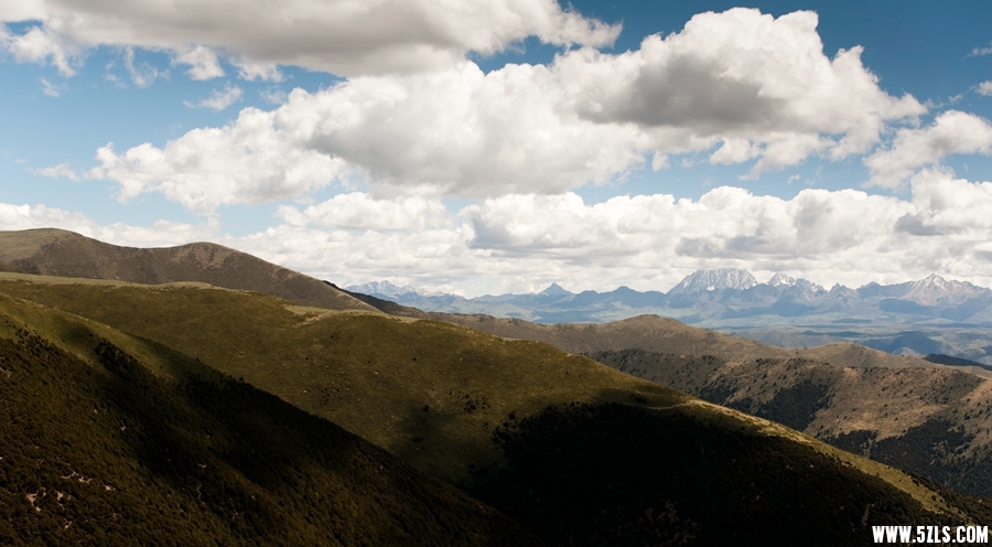_DSC3107.jpg