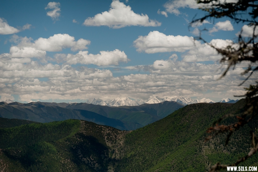 _DSC3166.jpg
