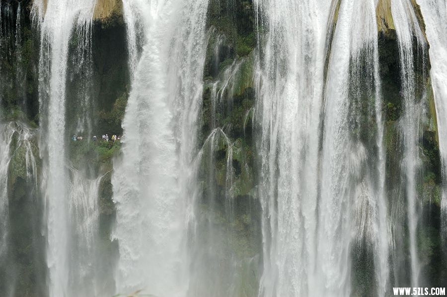 DSC_4160__.jpg