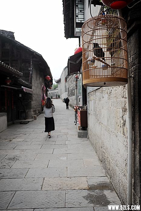 DSC_1601_副本_副本.jpg