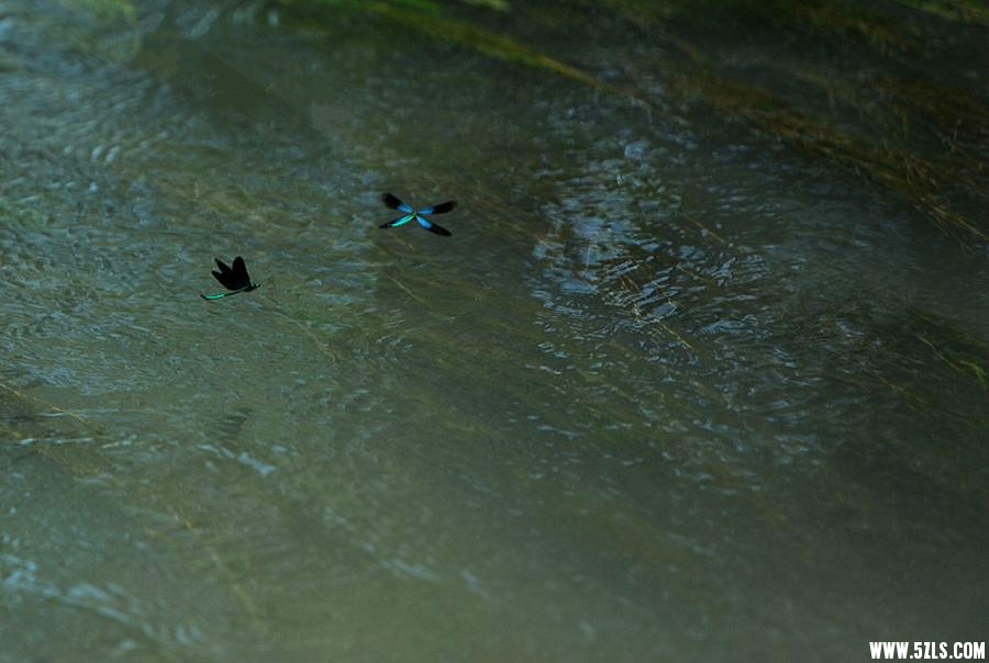 DSC_2517_副本_副本.jpg