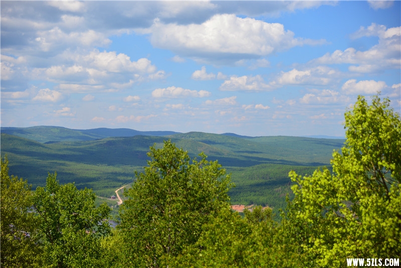DSC_3190.jpg