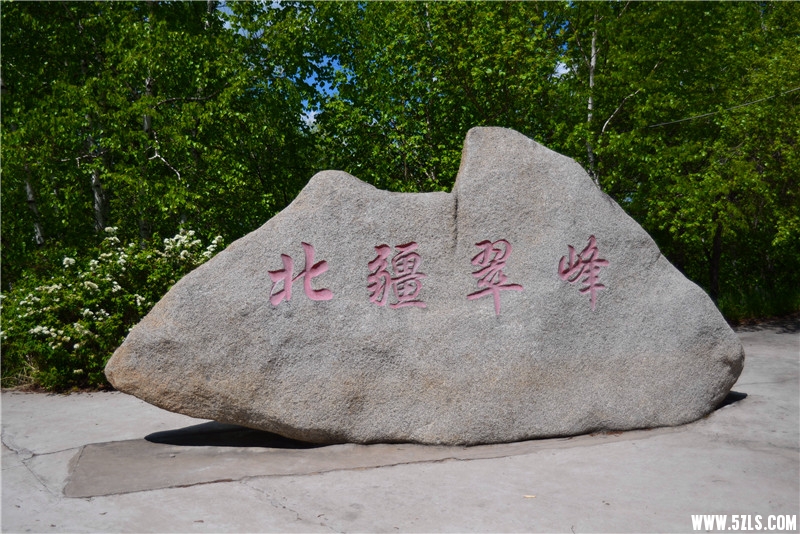 DSC_3198.jpg