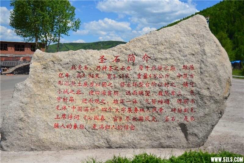 DSC_3202.jpg