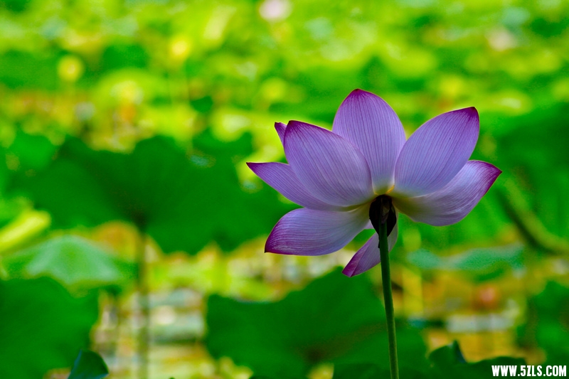 _MG_79231001.jpg