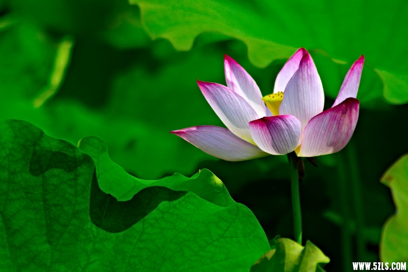 _MG_79761001.jpg