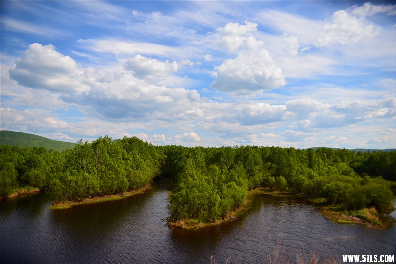 DSC_3233.jpg