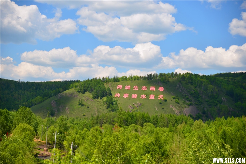DSC_3218.jpg