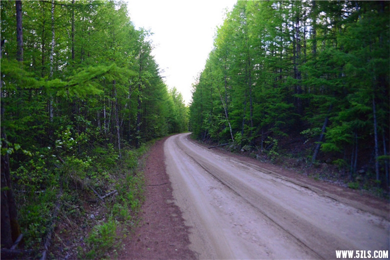 DSC_3262.jpg