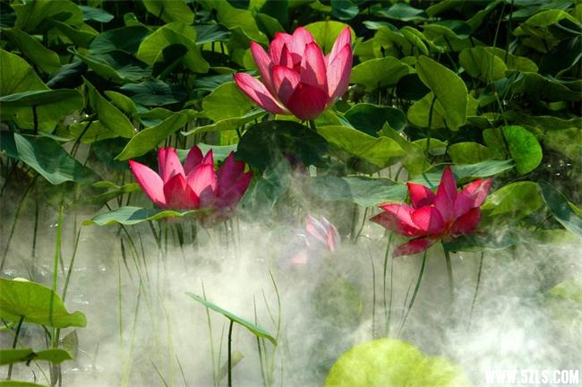 20120801080304343.jpg