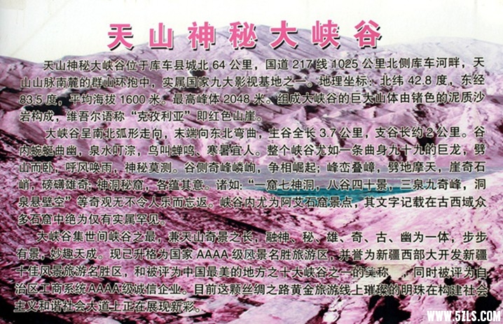 170.jpg
