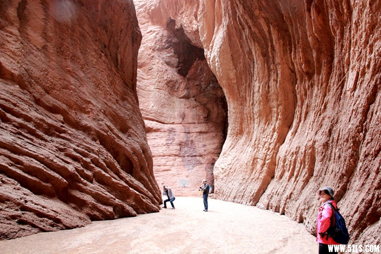 176.jpg