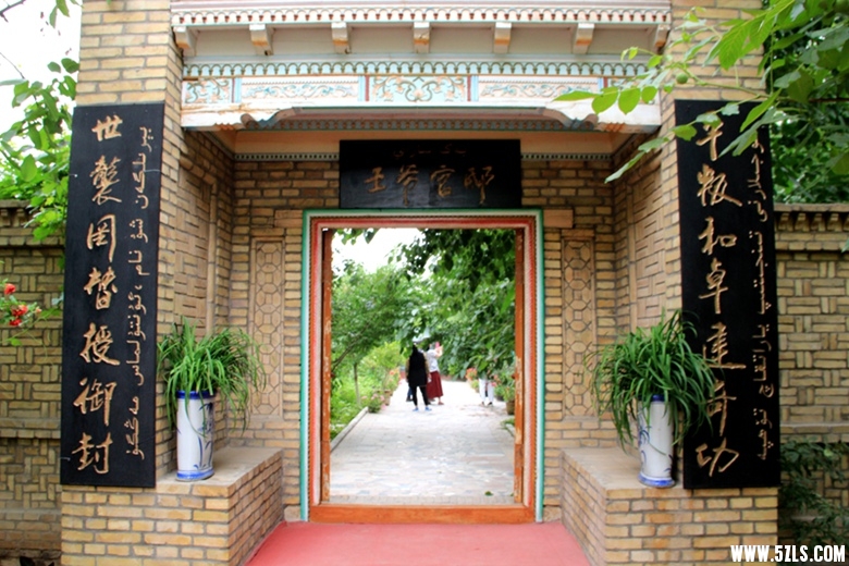 195.jpg