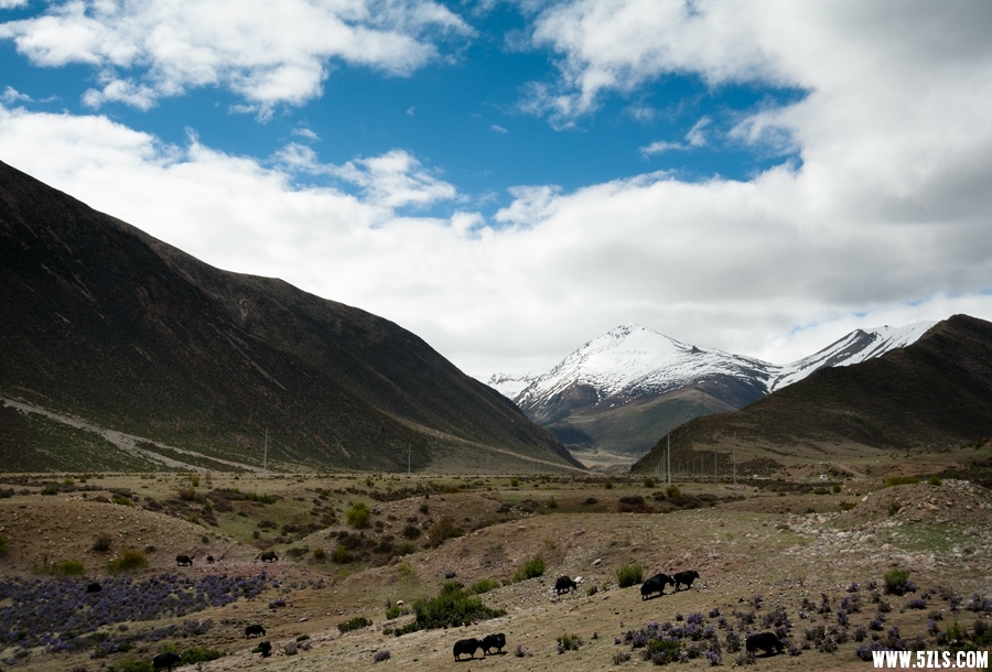 _DSC3561.jpg
