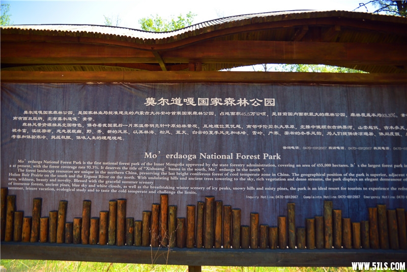 DSC_3399.jpg
