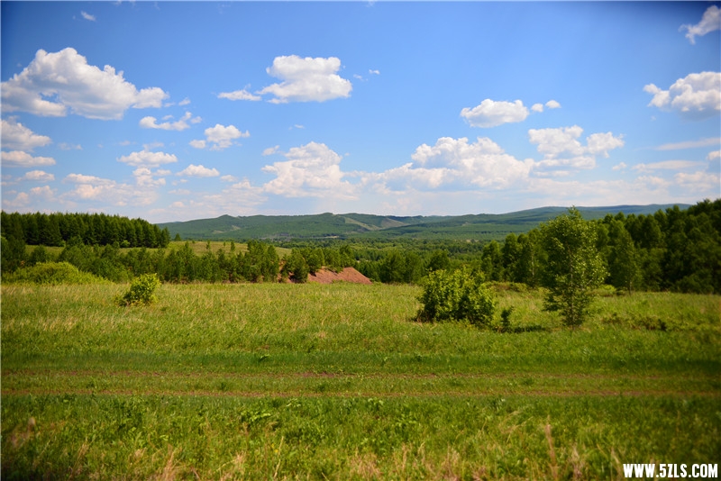 DSC_3482.jpg