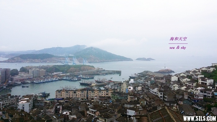 20150721_165134a.jpg