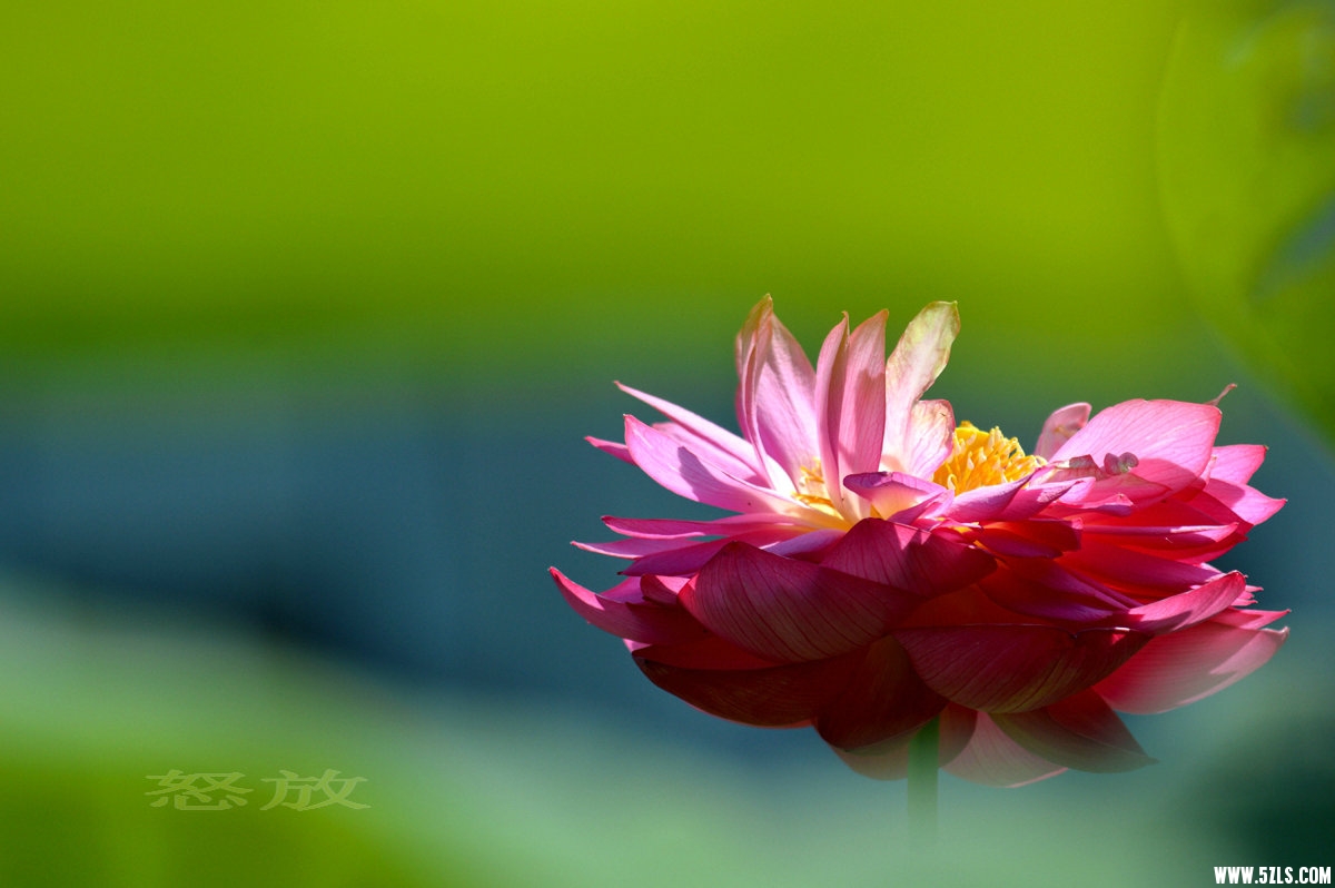 DSC_1146_.jpg