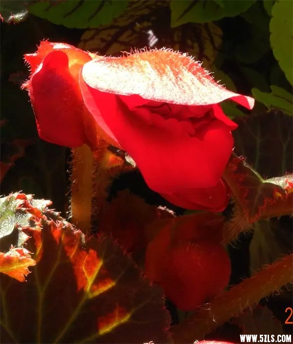 05.jpg