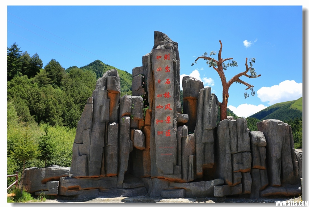 7月17日 (63).JPG