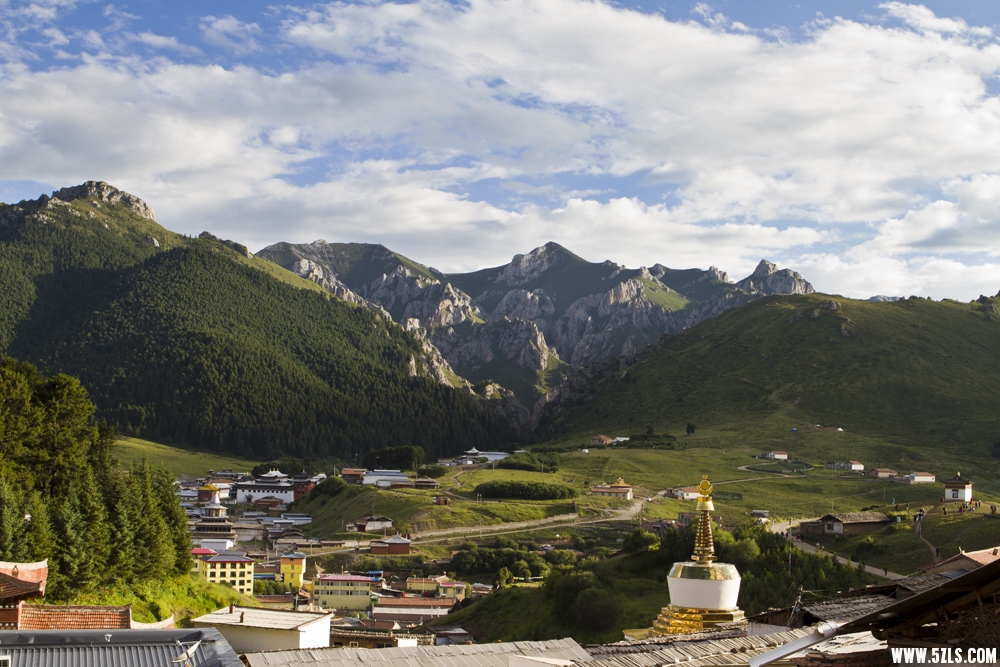 _MG_2103.JPG