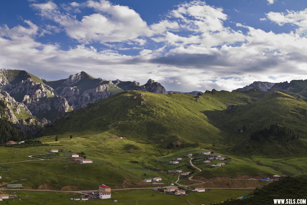 _MG_2101.JPG