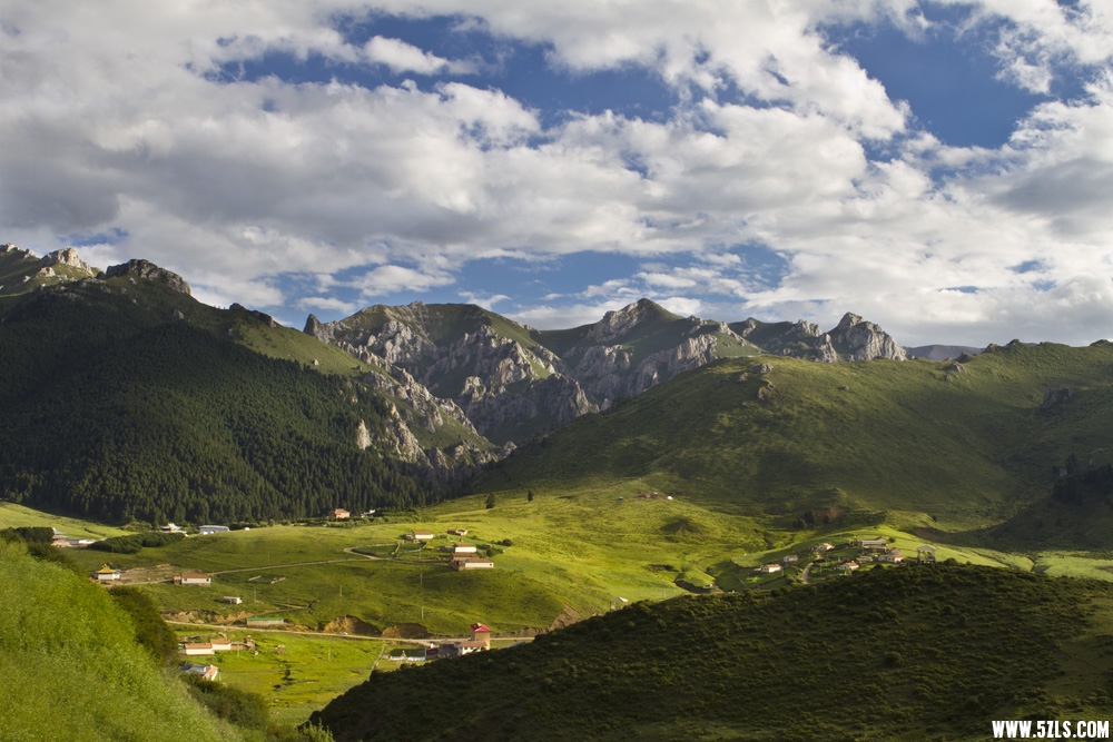 _MG_2082.JPG