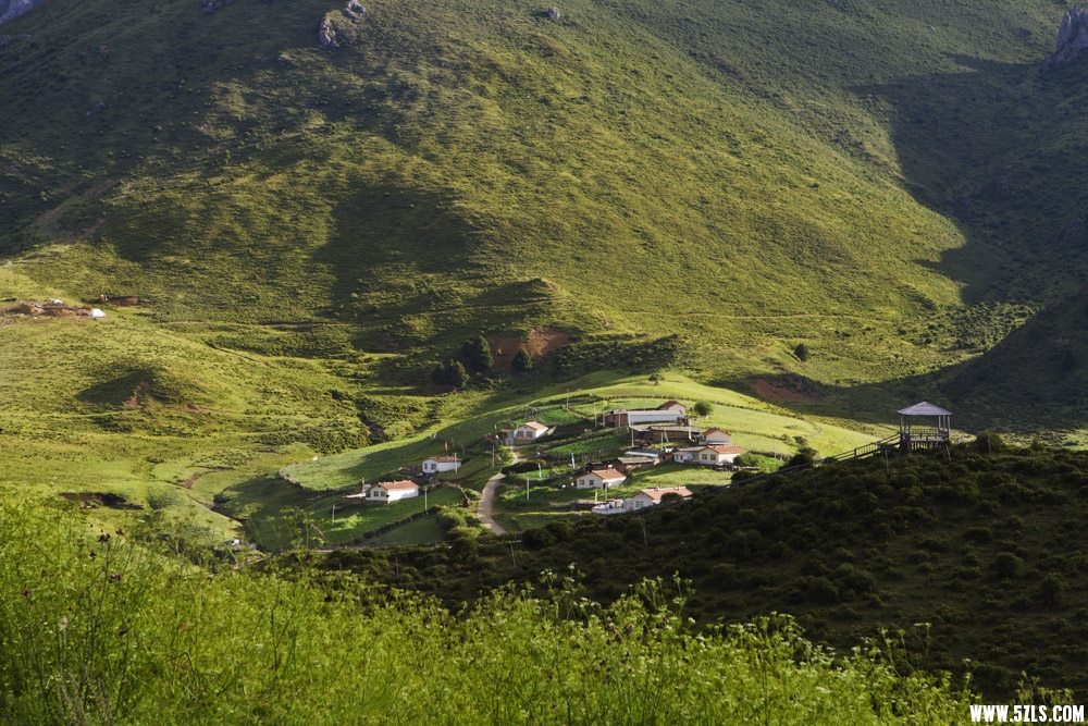 _MG_2084.JPG