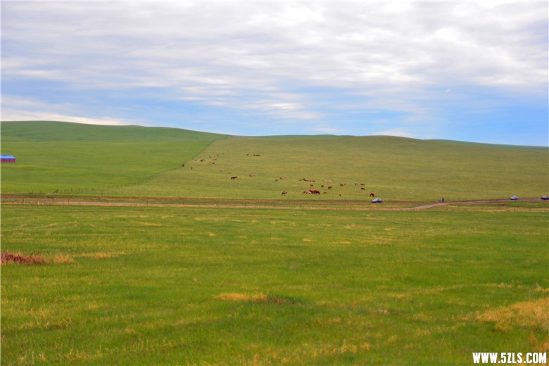 DSC_4046.jpg
