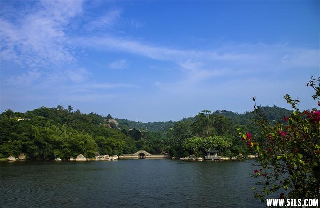 16410119.jpg