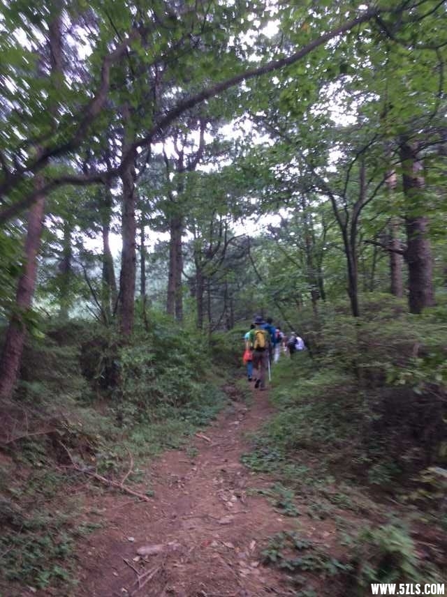 QQ图片20150909140800.jpg