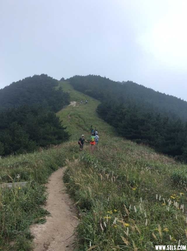 QQ图片20150909140818.jpg