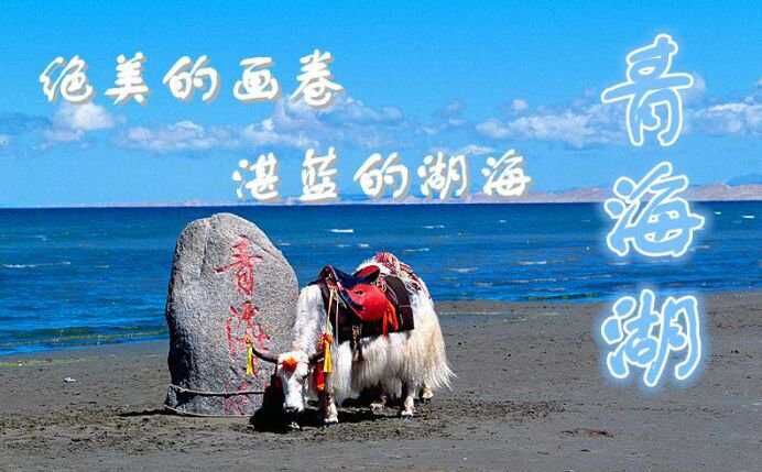 QQ图片20150911175654.jpg