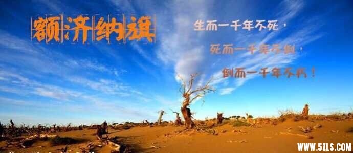 QQ图片20150911175657.jpg