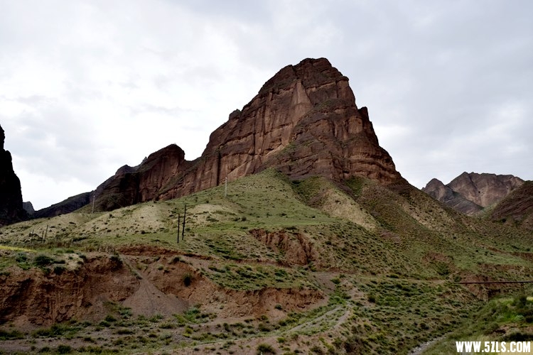 _DSC8542.JPG
