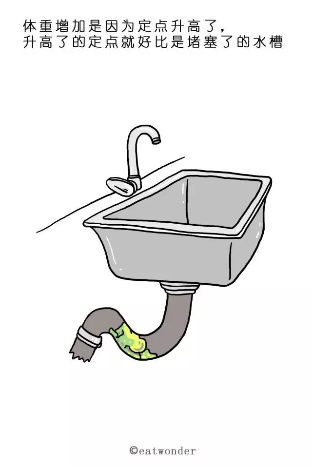 23.webp.jpg