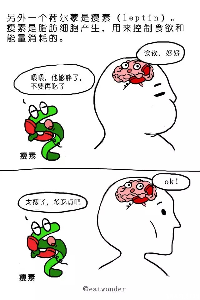 40.webp.jpg