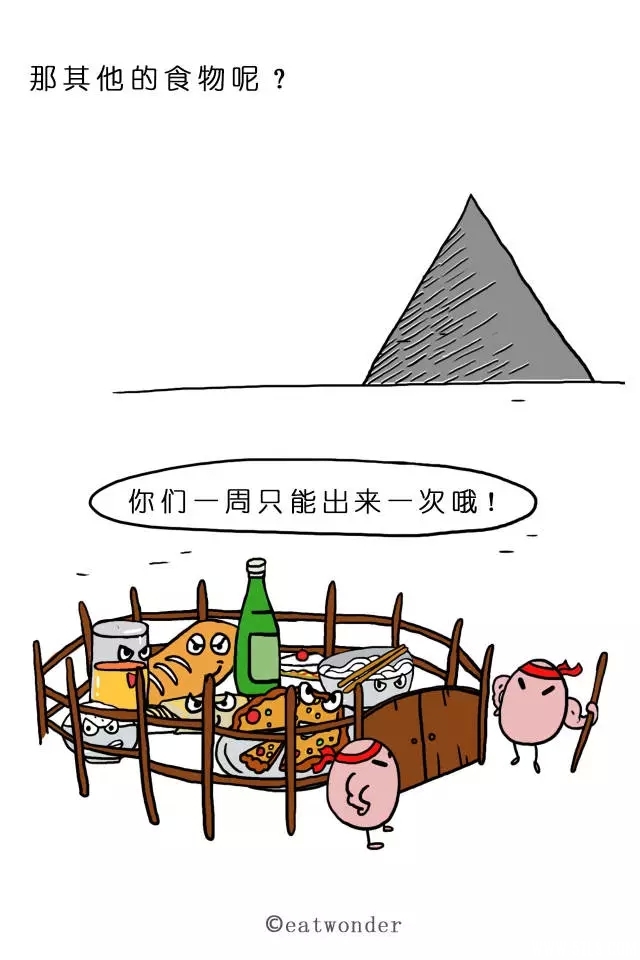 51.webp (1).jpg