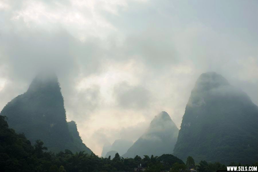 DSC_7095__.jpg
