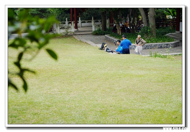 DSC08629.jpg