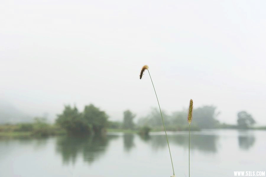DSC_7317__.jpg