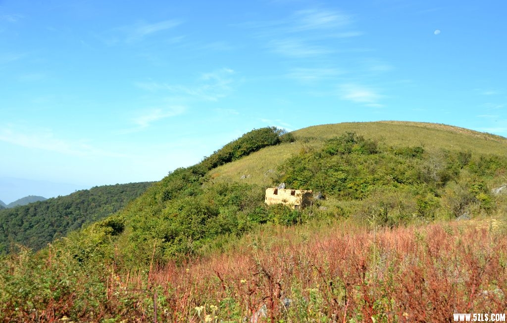 DSC_3629__.jpg