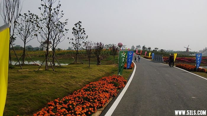 IMG_20151010_094004.jpg
