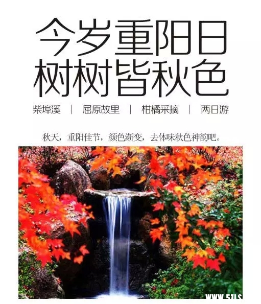 1.webp.jpg